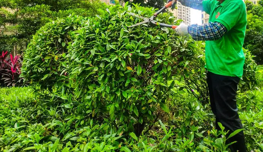 别墅室外园林景观设计